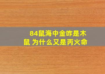 84鼠海中金咋是木鼠 为什么又是丙火命